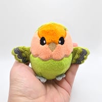 Image 5 of Bandit the Worry Borb