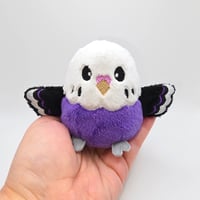 Image 5 of Violet the Worry Borb