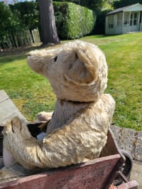 Image 1 of Large 60cm Musical Bear by Barbara Owen 1993