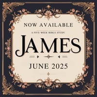 The James Study - 5 Week Zoom Bible Study 🕊️