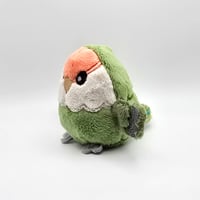 Image 2 of Daisy the Worry Borb