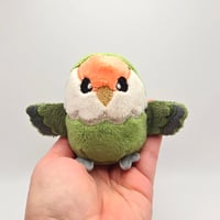 Image 5 of Daisy the Worry Borb