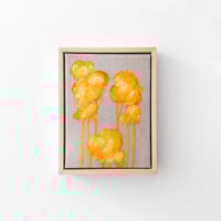 Image 1 of 'Oranges' 2025