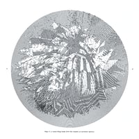 Image 1 of Plate 3