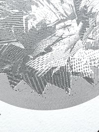 Image 2 of Plate 1