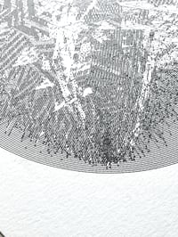 Image 2 of Plate 5