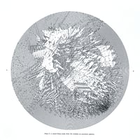 Image 1 of Plate 9