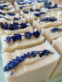 Image 3 of Evening Song (goats milk)