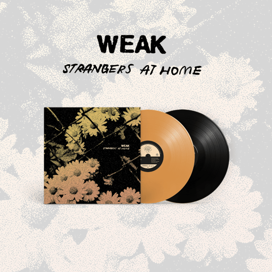 Image of PRE-ORDER NOW! LADV211 - WEAK "strangers at home" LP