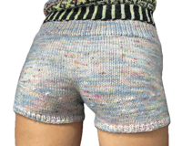 Image 3 of the microshorts