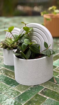Image 8 of Bookend Planter with Water Catch Tray –Modern Bookshelf Plant Holder