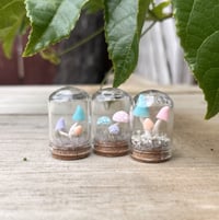 Image 2 of Small Domes