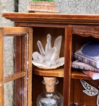 Image 2 of Brown Shelf (Large)