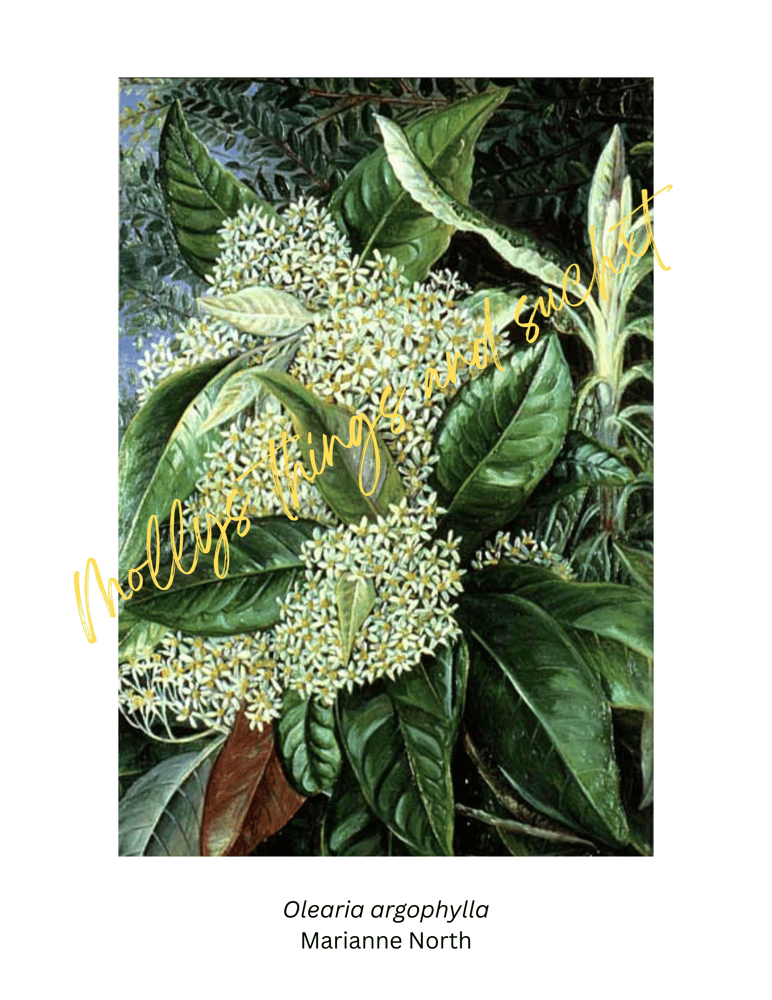 Image of Exploring Artists Through Art Cards Series.... Marianne North