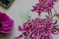 Image 3 of Ethereal Explorer