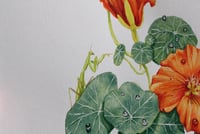 Image 4 of Can I Eat It?