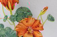 Image 5 of Can I Eat It?