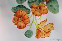 Image 2 of Can I Eat It?