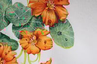 Image 3 of Can I Eat It?