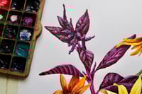 Image 5 of Beautifully Boisterous