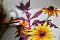 Image 2 of Beautifully Boisterous