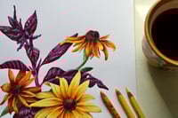 Image 3 of Beautifully Boisterous