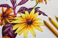 Image 4 of Beautifully Boisterous