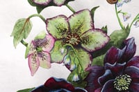 Image 2 of Slow Paced