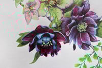 Image 3 of Slow Paced