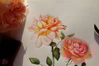 Image 4 of Small Communities