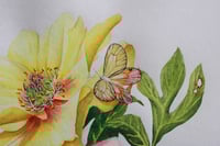 Image 2 of Double Date