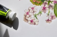 Image 2 of Summer Magic