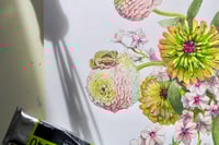 Image 3 of Summer Magic