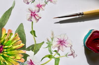 Image 4 of Summer Magic