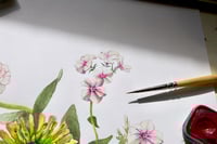 Image 5 of Summer Magic