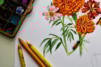 Image 3 of Warm & Sweet