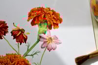 Image 4 of Warm & Sweet