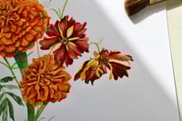 Image 5 of Warm & Sweet