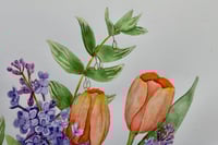 Image 3 of Growing Curiosity