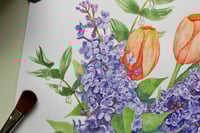 Image 2 of Growing Curiosity