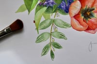 Image 4 of Growing Curiosity