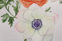 Image 2 of Love At First Sight