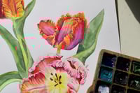 Image 3 of So Pretty It Hurts