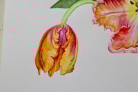 Image 4 of So Pretty It Hurts