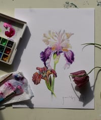 Image 1 of Restored Promise