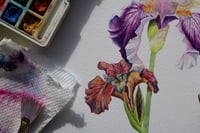 Image 4 of Restored Promise