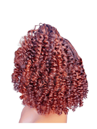 Image 4 of Braided wigs 
