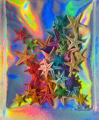 Image 2 of Estrellas de mar