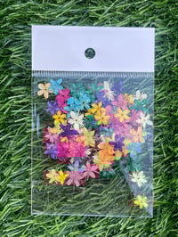 Image 2 of Naturaleza muerta