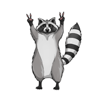 Image 3 of Racoon